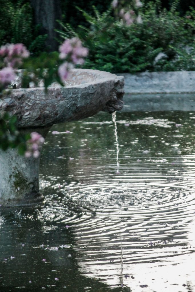 Fuente con un chorro de agua cayendo y zonas verdes a su alrededor
