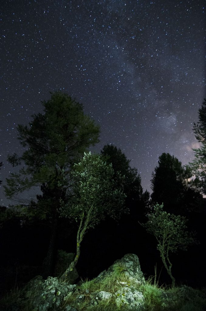 árboles y una piedra en primer plano iluminadas con una linterna y donde se aprecia la Vía Láctea