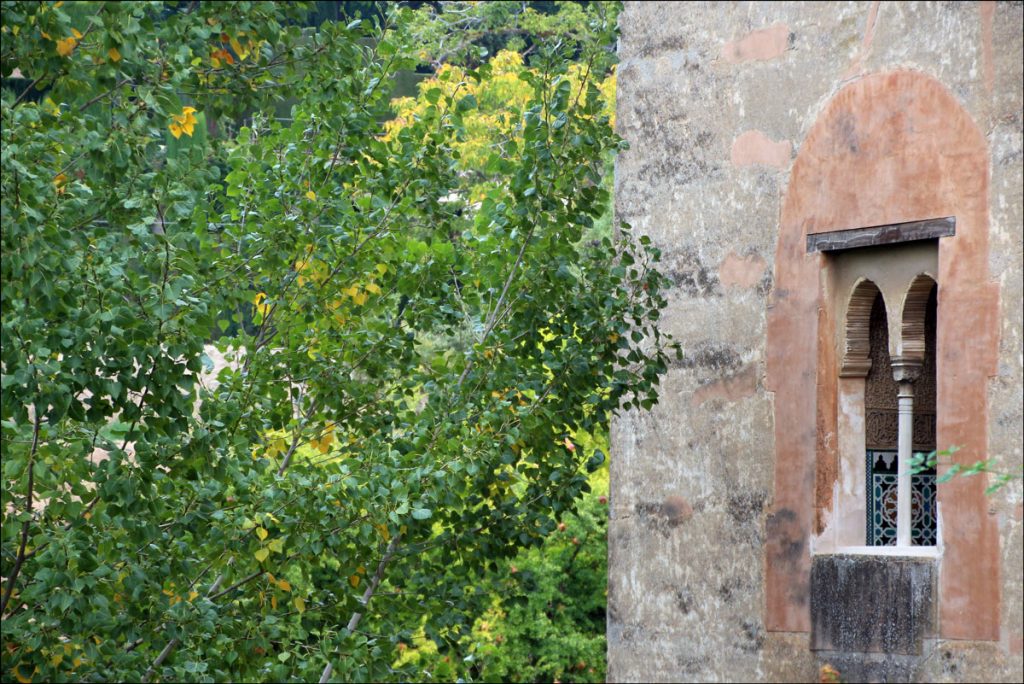 Árboles y ventana con arcos de la Alhambra