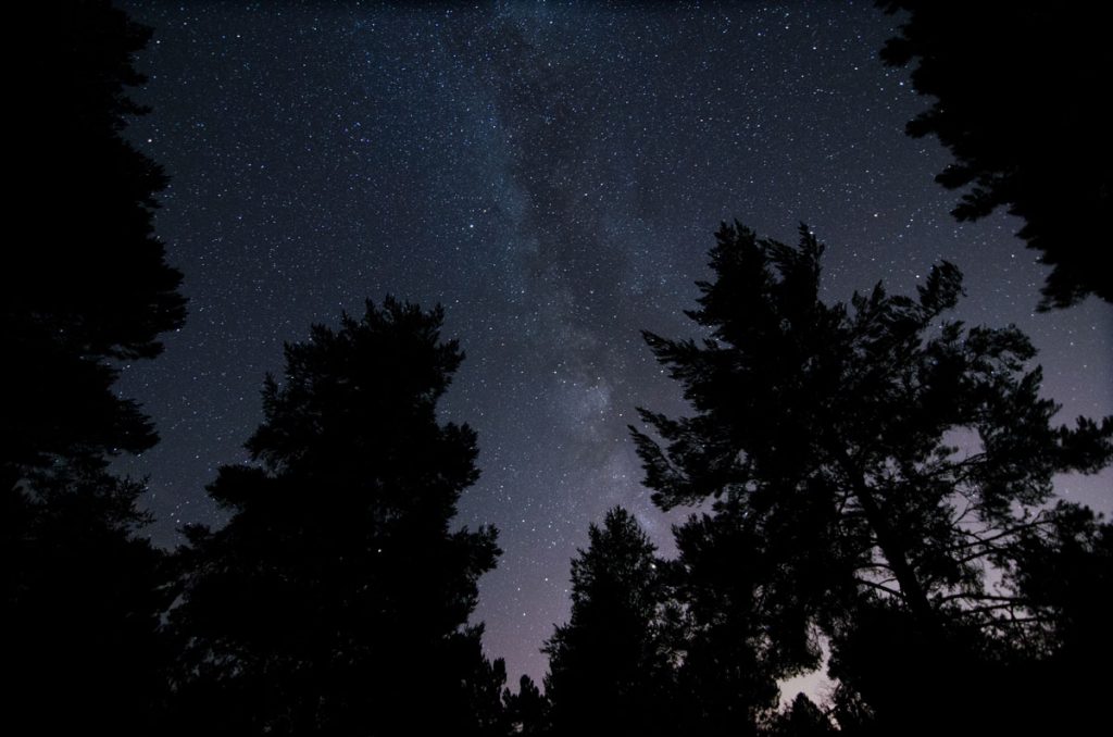 detalle del cielo con árboles en primer plano y donde se aprecia la Vía Láctea